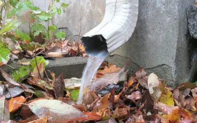 How to Improve Yard Drainage
