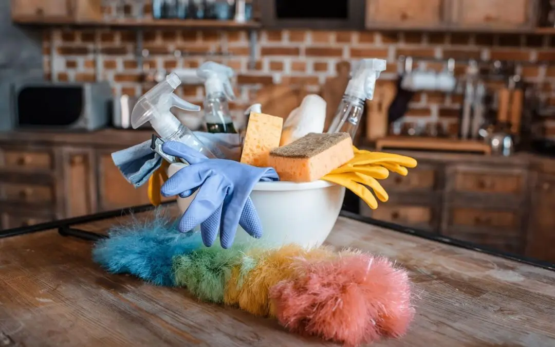 What’s Lurking Under Your Sink? A Homeowner’s Guide to Chemicals in Your Home