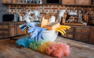What’s Lurking Under Your Sink? A Homeowner’s Guide to Chemicals in Your Home